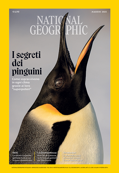 NATIONAL GEOGRAPHIC 5/2025: I SEGRETI DEI PINGUINI